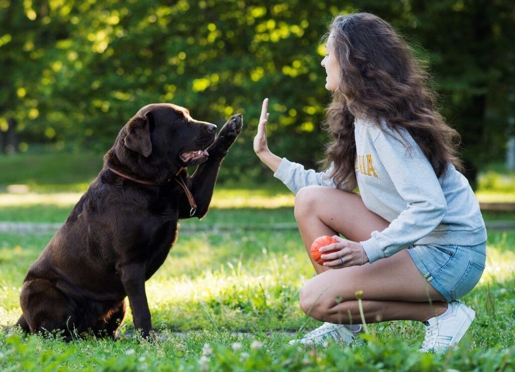 Woman playing with her dog after a professional grooming session