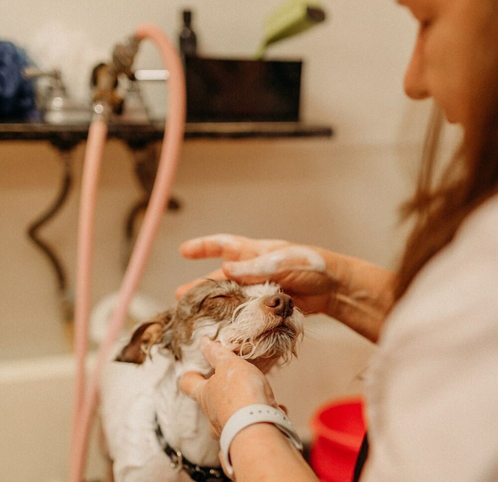 36ee35b3f48f3a7887110f5b50f78de1